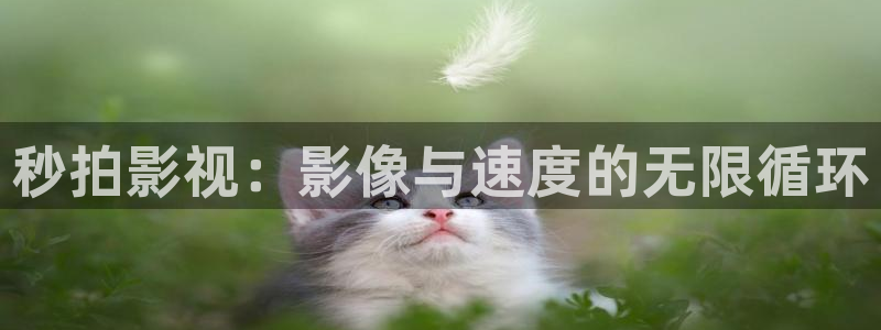 神马电影午夜麻豆