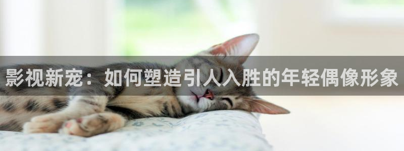 麻豆成人午夜电影